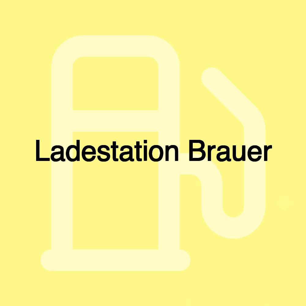 Ladestation Brauer