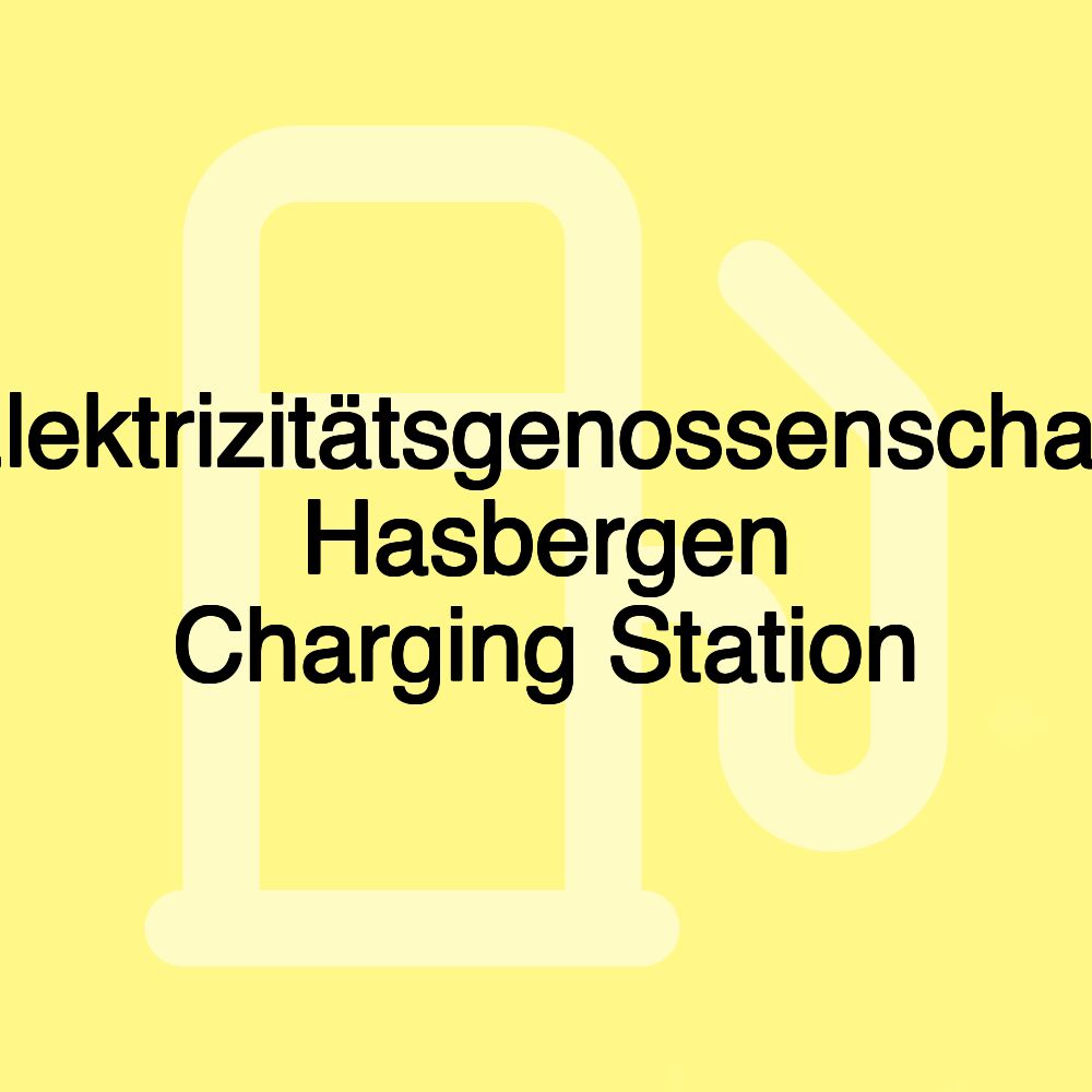 Elektrizitätsgenossenschaft Hasbergen Charging Station