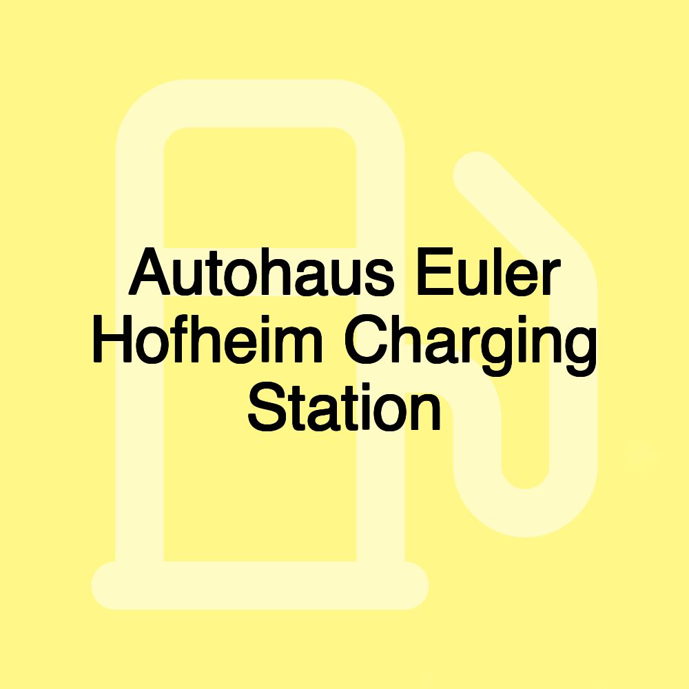 Autohaus Euler Hofheim Charging Station