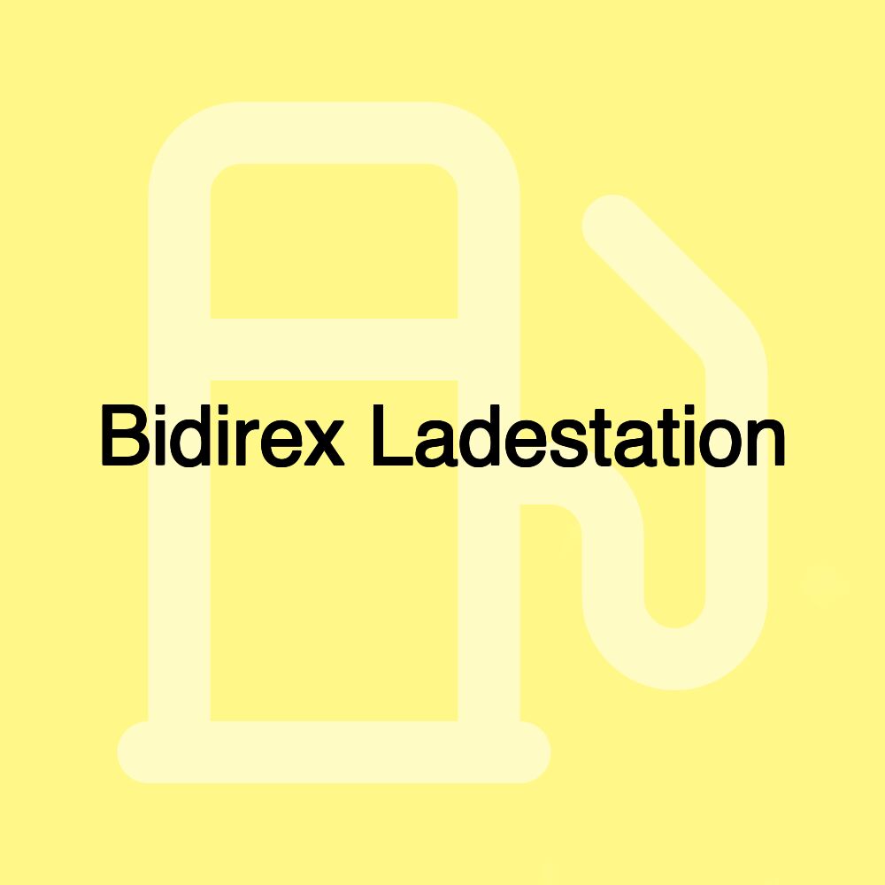 Bidirex Ladestation