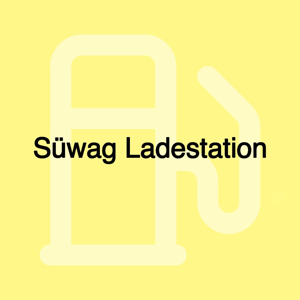 Süwag Ladestation