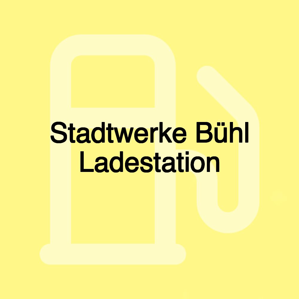 Stadtwerke Bühl Ladestation