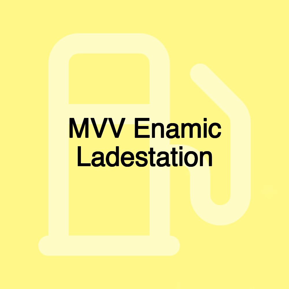 MVV Enamic Ladestation