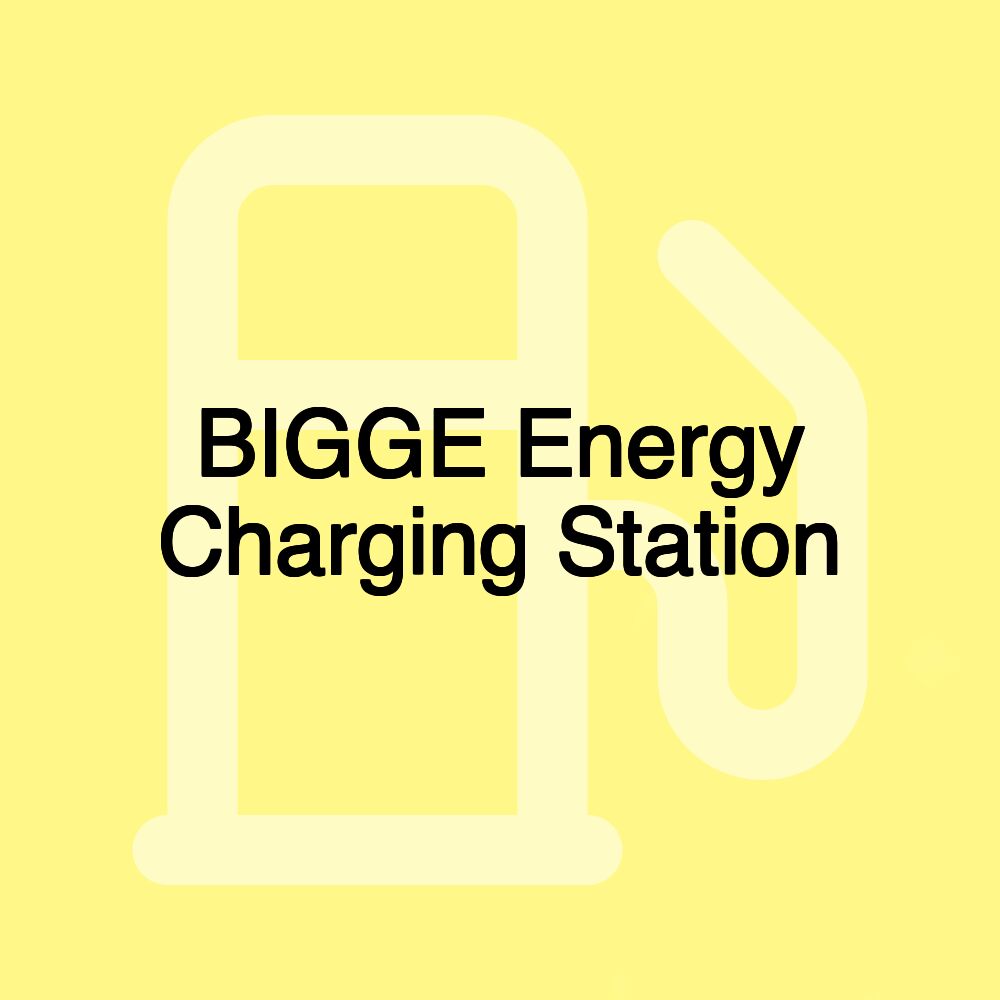 BIGGE Energy Charging Station