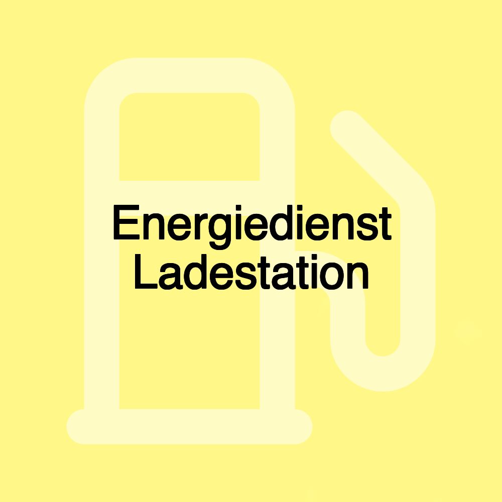 Energiedienst Ladestation