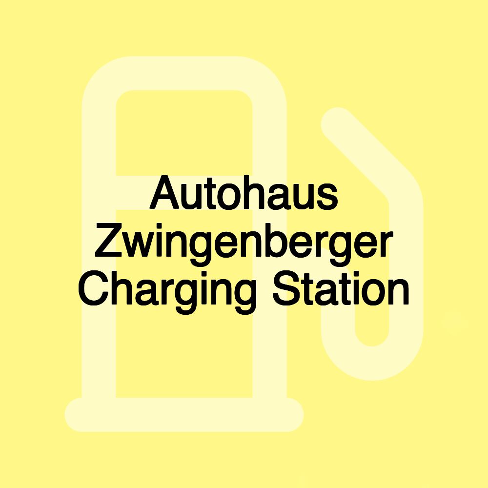 Autohaus Zwingenberger Charging Station