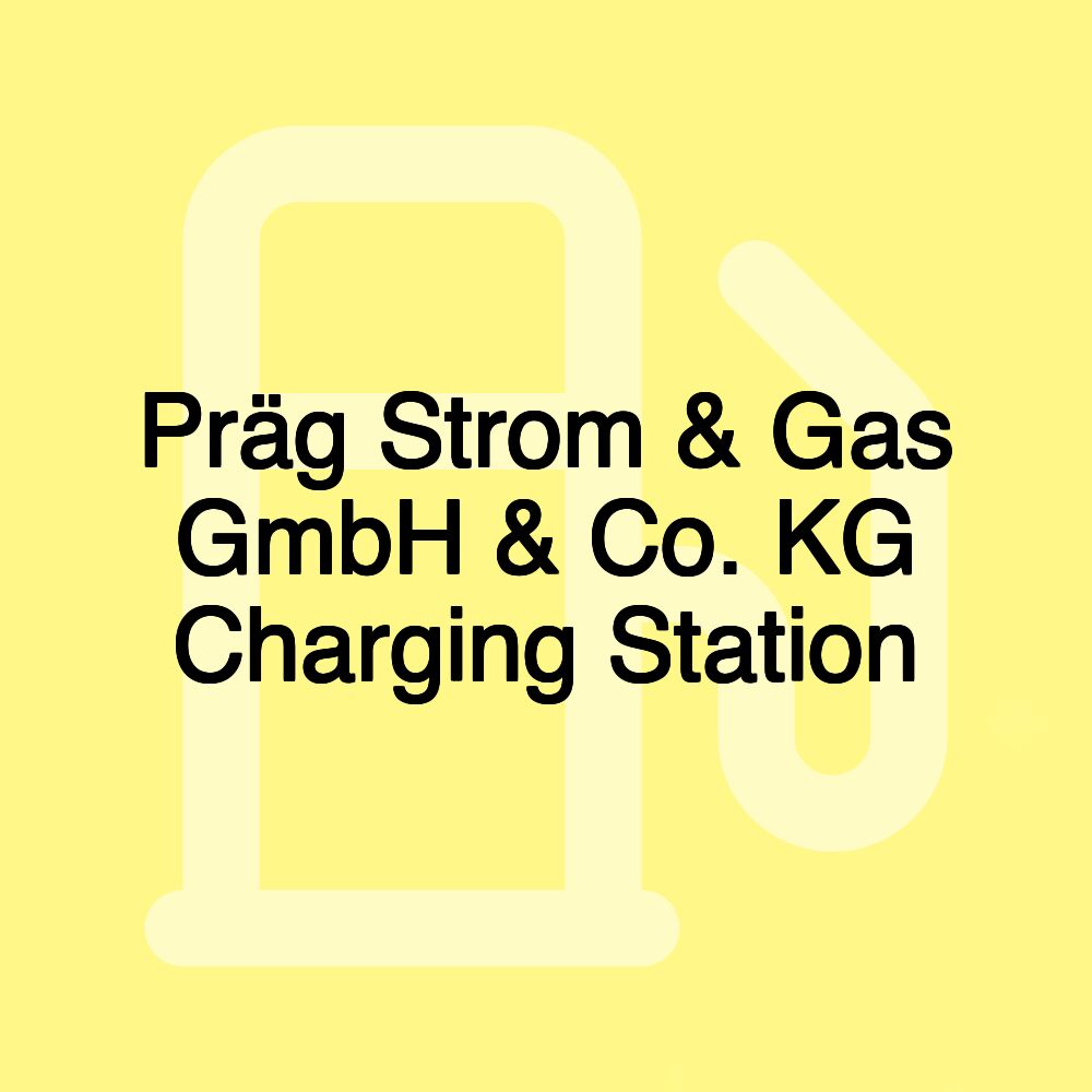 Präg Strom & Gas GmbH & Co. KG Charging Station