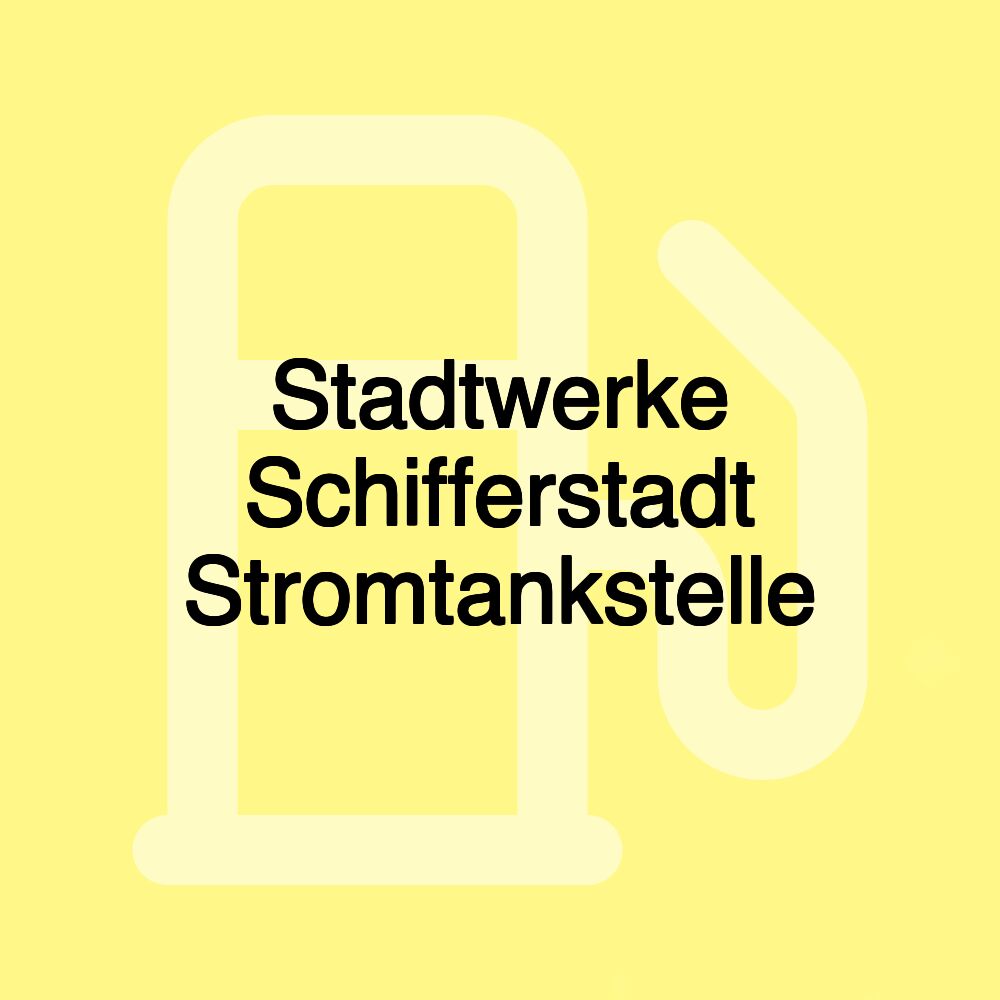 Stadtwerke Schifferstadt Stromtankstelle