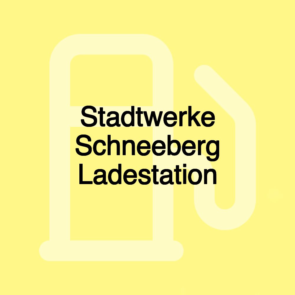 Stadtwerke Schneeberg Ladestation