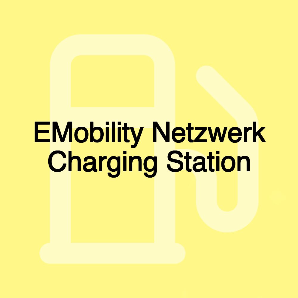 EMobility Netzwerk Charging Station