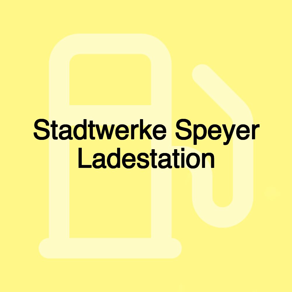 Stadtwerke Speyer Ladestation