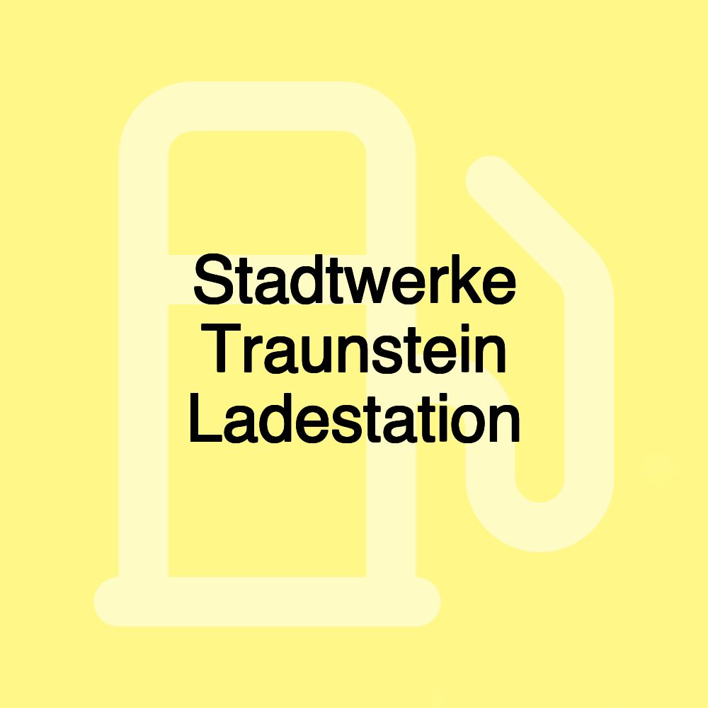 Stadtwerke Traunstein Ladestation