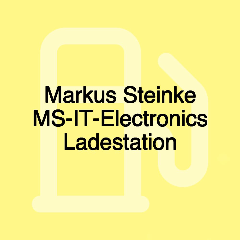 Markus Steinke MS-IT-Electronics Ladestation