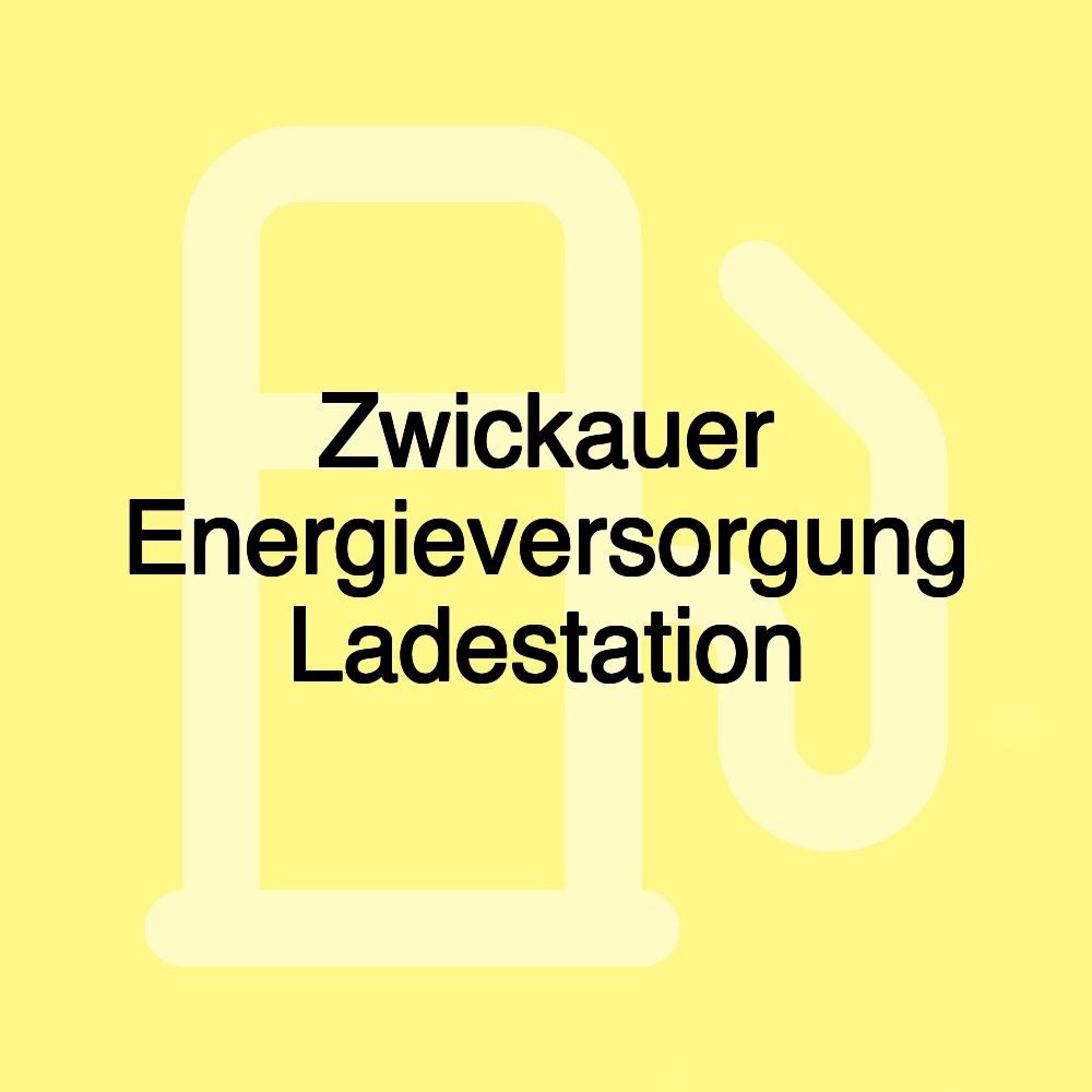 Zwickauer Energieversorgung Ladestation