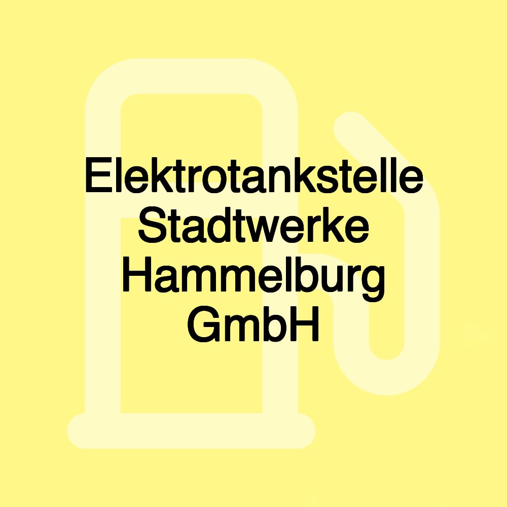 Elektrotankstelle Stadtwerke Hammelburg GmbH