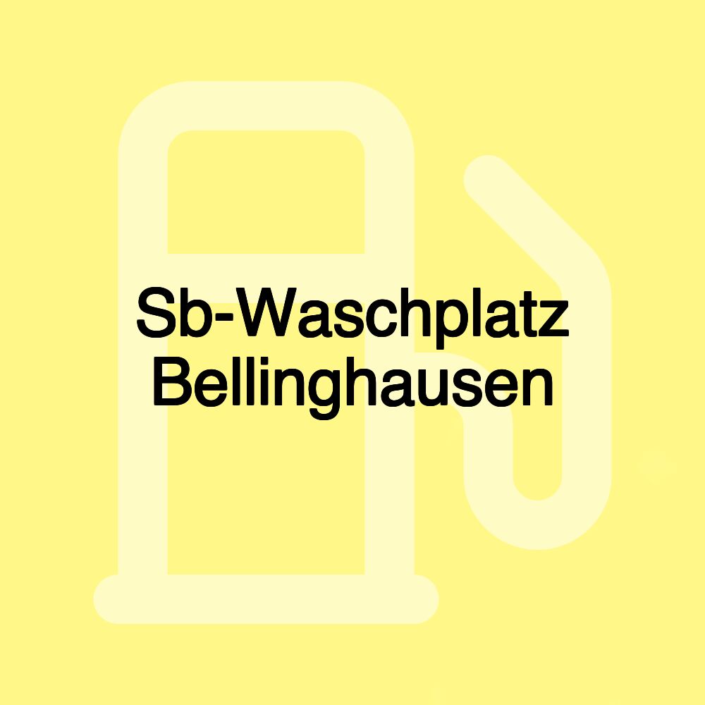 Sb-Waschplatz Bellinghausen