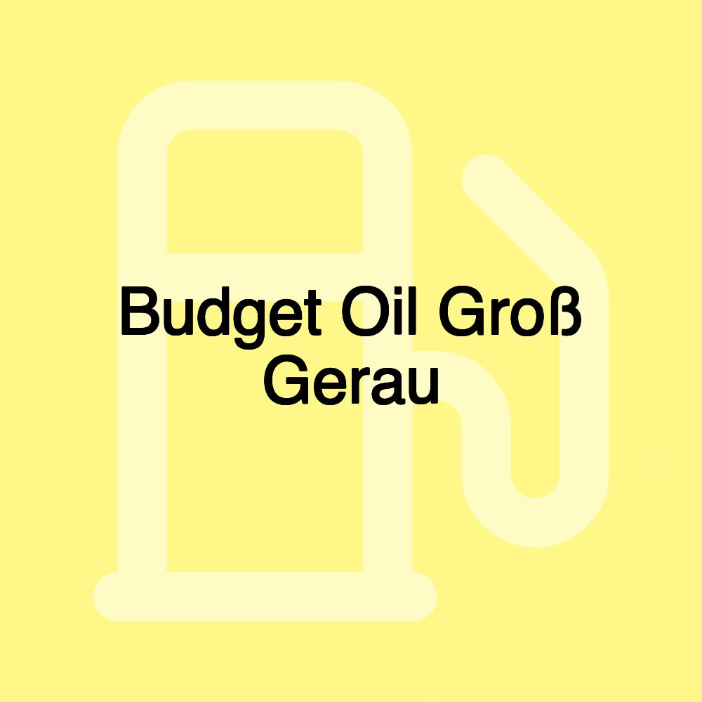 Budget Oil Groß Gerau