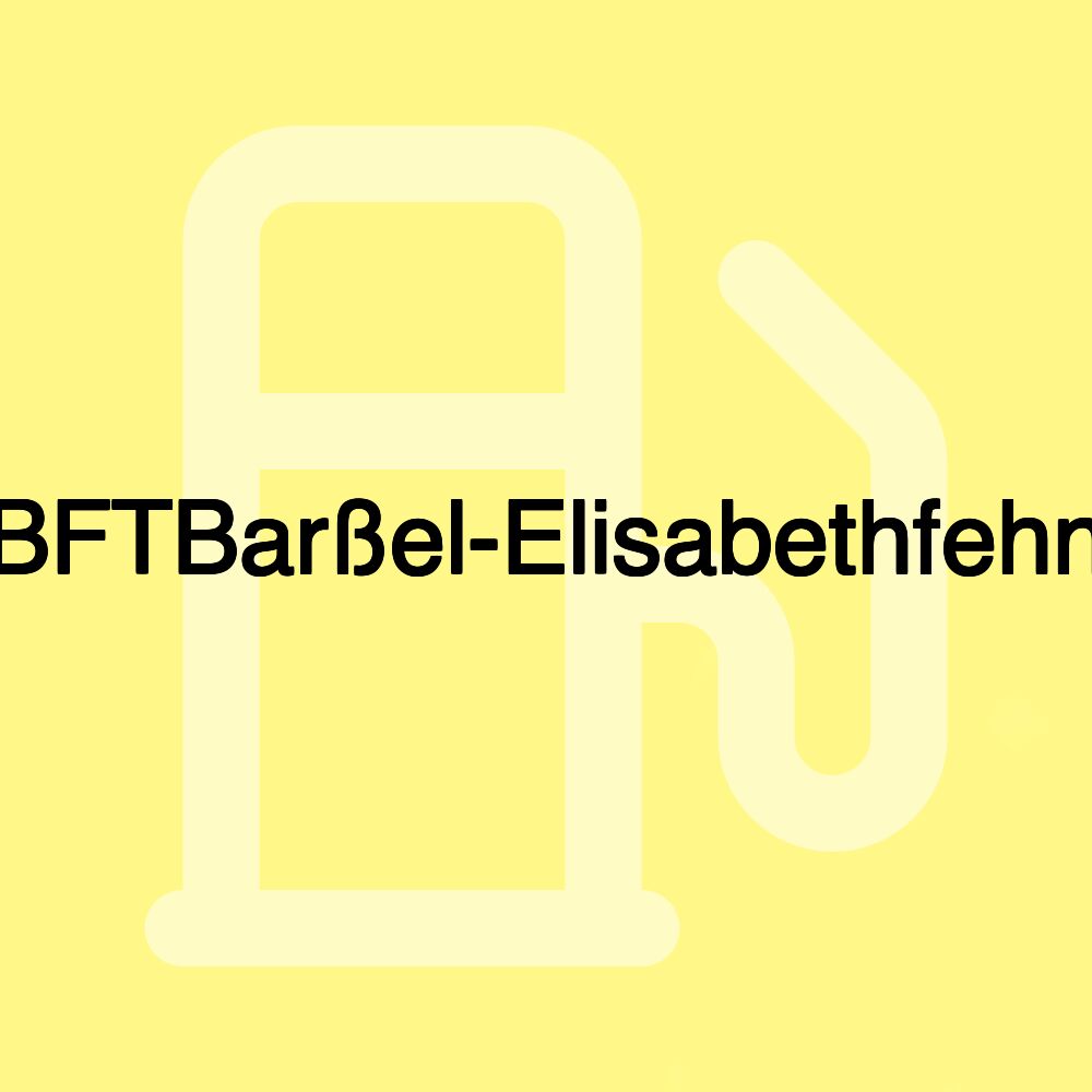 BFTBarßel-Elisabethfehn