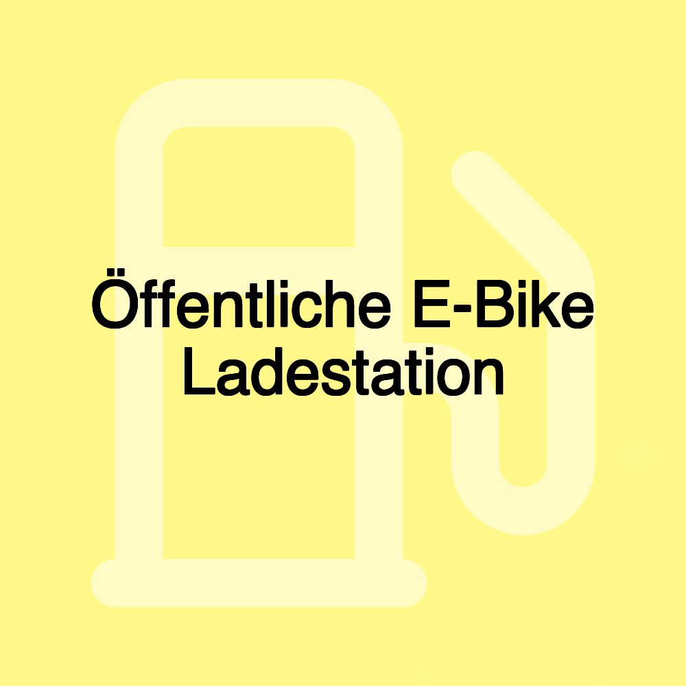 Öffentliche E-Bike Ladestation