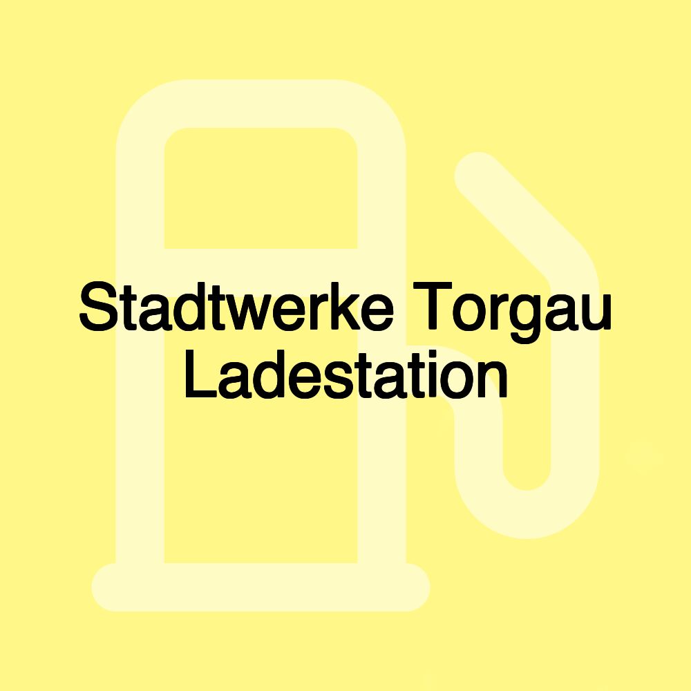 Stadtwerke Torgau Ladestation